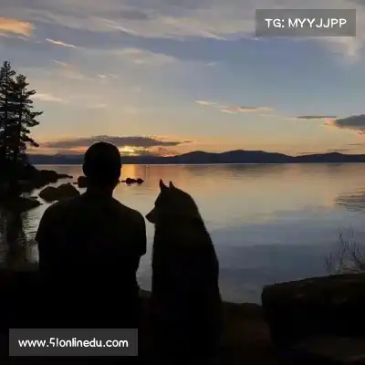 邹朵千